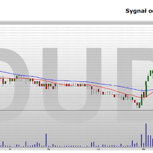 Duda: analiza techniczna