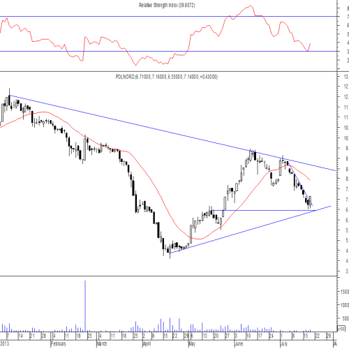 Spółka dnia: Polnord