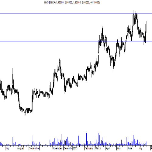 Spółka dnia: Hygienika